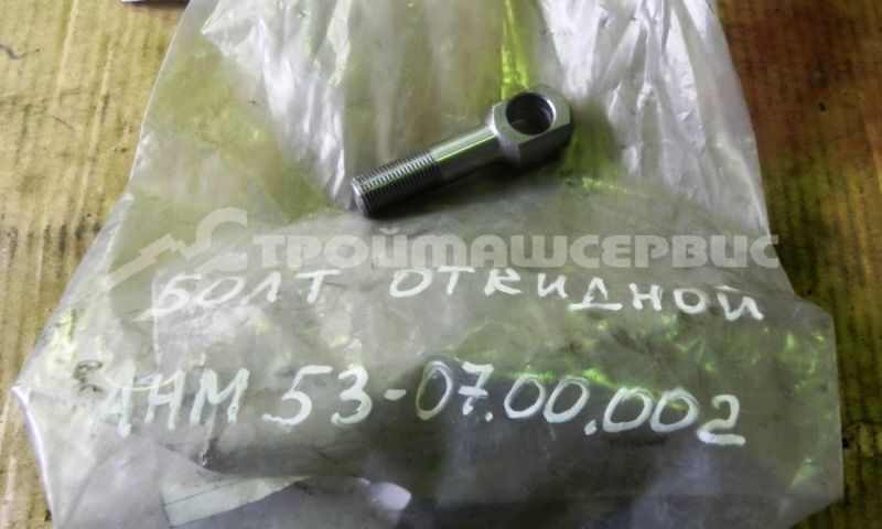 Болт откидной АНМ53-07.00.002