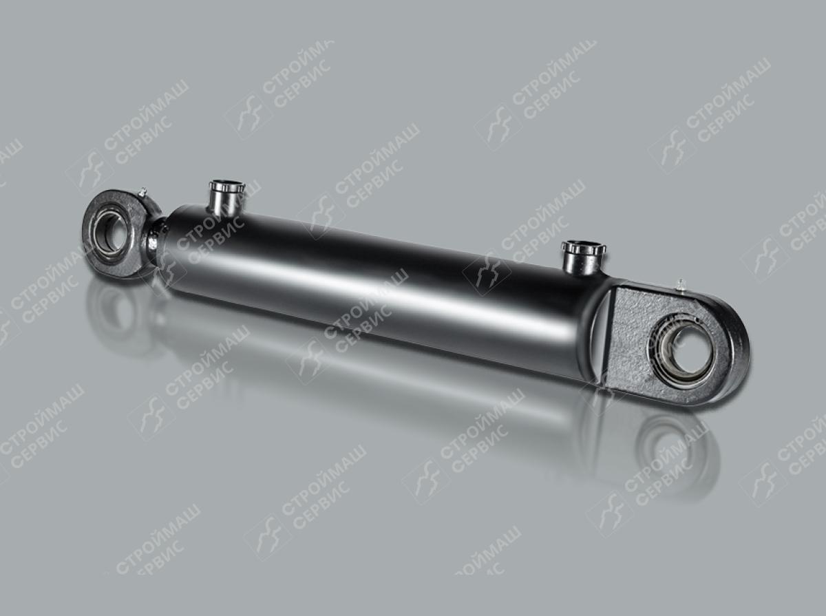 ЦГ-100.63х1250.31-05 Гидроцилиндр